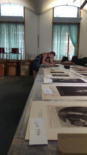 Conservator collection cataloguing